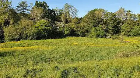 Photo de Glebe Meadow