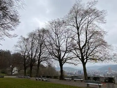 Feuerstelle Bäumli