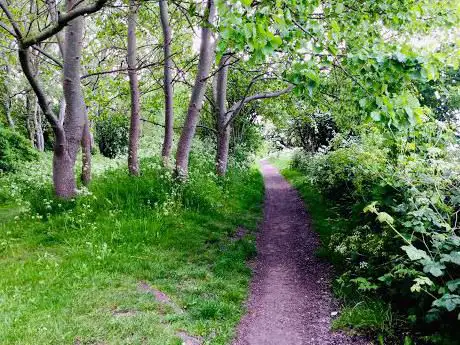 Photo de Jean's Walk