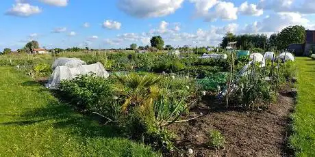Photo de Tanneke's tuin