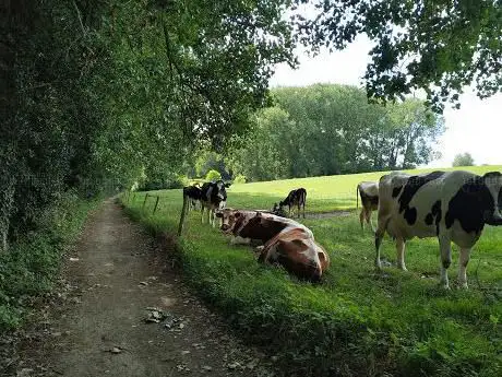 Wandelknooppunt 93