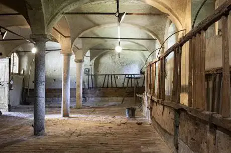 Photo de Museo della Civiltà Contadina- Cascina