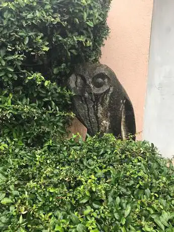 Eulen-Statuen