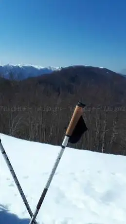 Monte Pedicinetto