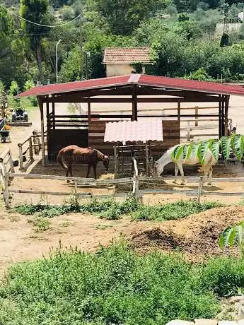 The Small Ranch