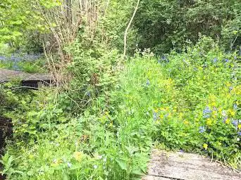 Photo de Bybrook Nature Reserve
