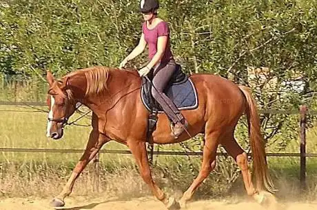 Photo de Victor-y-horses