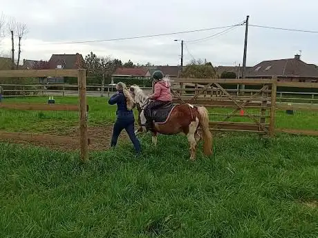 Ferme Equestre de la Rose des Vents