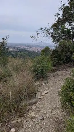 Camí del Puig de l'ancle
