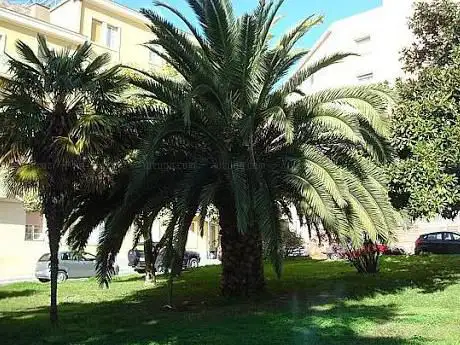 Giardino di Piazza Indipendenza