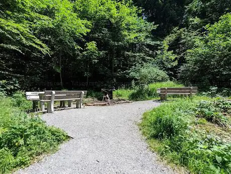 Picnic place