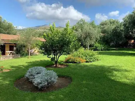 Photo de EverGreen di Berardi Fabio - Giardiniere Progettazione Giardini, Prato Sintetico e Disinfestazione