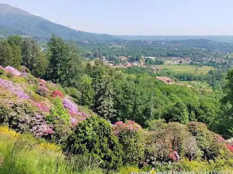 Parco Burcina