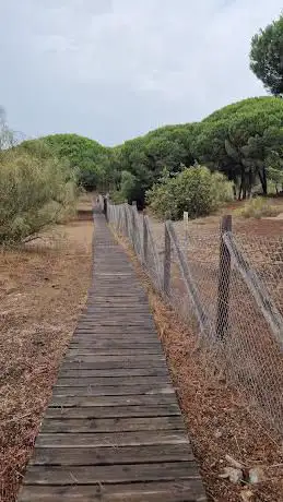 Laguna de El Portil