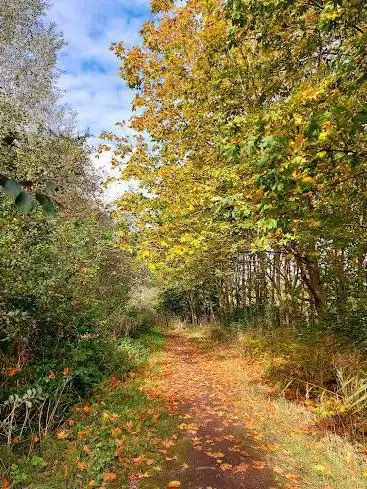 Bergmolenbos