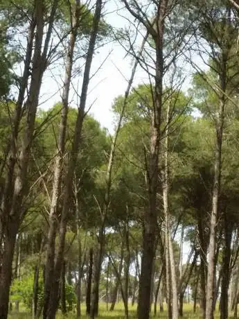 Photo de parco delle cave di via san cesareo