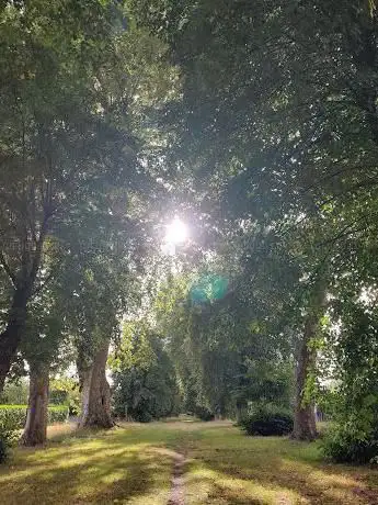 Photo de Parc de l'allée Cavalière