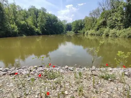 Photo de Iisweier Nature Reserve