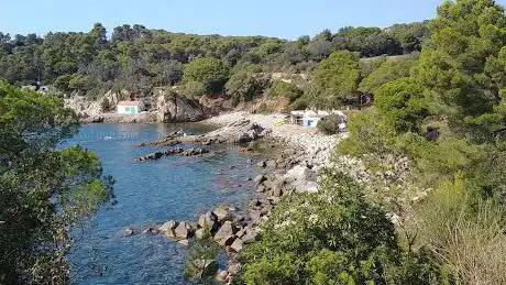 Photo de Pineda d'en Gori
