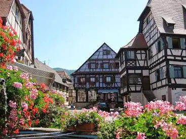 Photo de Office de Tourisme du Pays de Barr bureau de Dambach-la-Ville