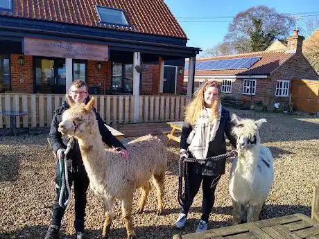 Photo de Wymondham Alpacas