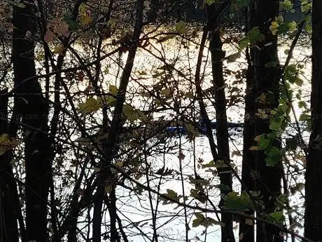 Heider Bergsee Natur Badeplatz