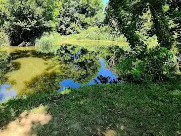Photo de Holman's Field