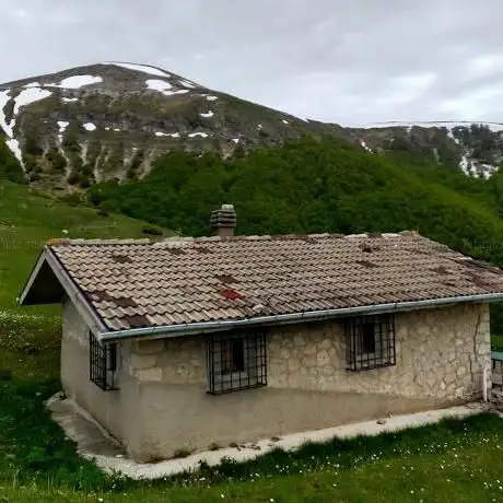 Photo de Rifugio la Fascia