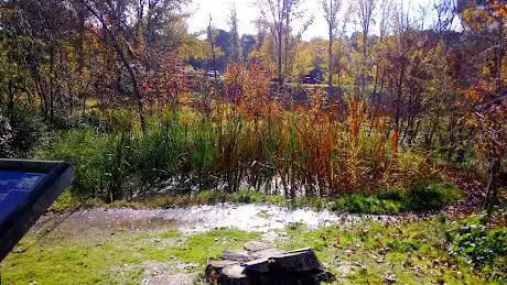 Photo de Forêt des Sources d'Eau