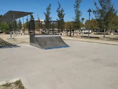 Photo de SkatePark