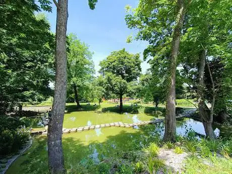 Chemin sur l'eau
