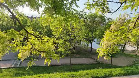 Photo de Vista Alegre Park