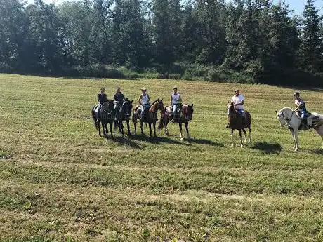 Photo de Appennino Horse Trekking