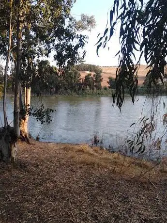 Photo de Lago Sparacia