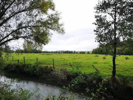 Photo de infière Woods