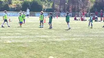 Stade Cubizolles