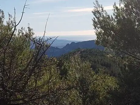 cantiere forestale Eltili