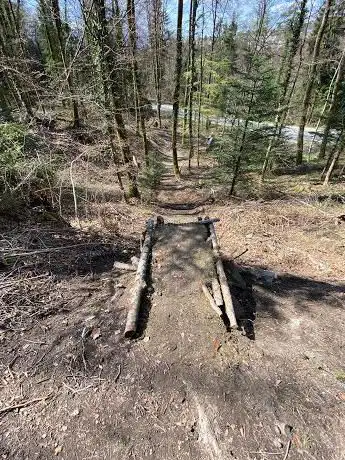 Chainless Park
