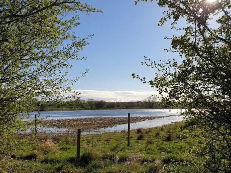 Adwick Washland Nature Reserve