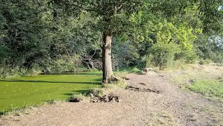 Photo de Ancient Grasslands