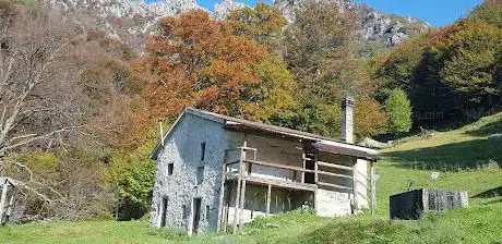 Photo de Alpe Riccola