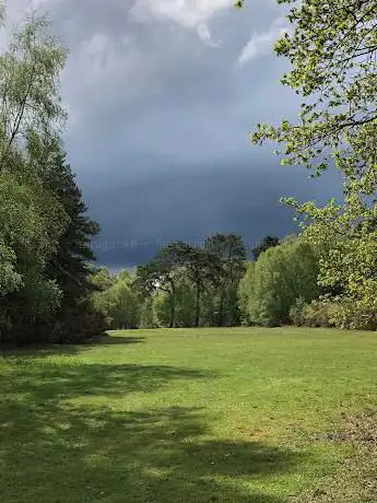 Bramshott Common