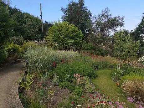 The Ringrose Orchard