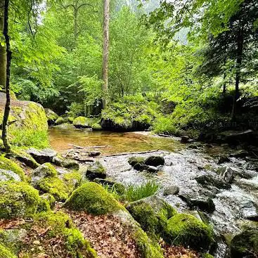 Wanderweg am Grobbach