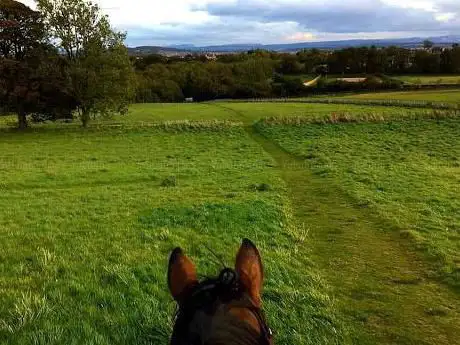 Photo de Pentland Ponies