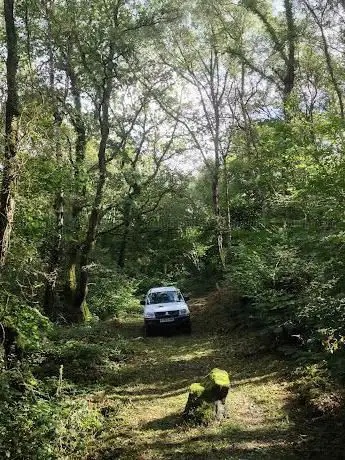 Photo de Ban-y-Gor Nature Reserve