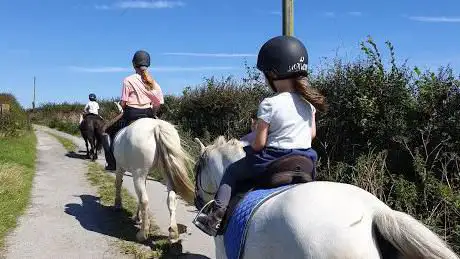 Newton Livery Equestrian & Leisure Centre