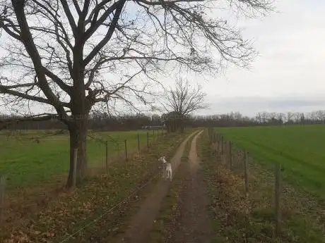 Natuurgebied Galgenberg