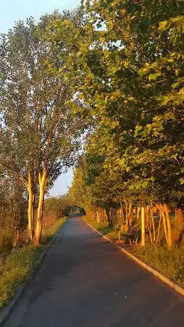 Attraversamento Pista Ciclabile