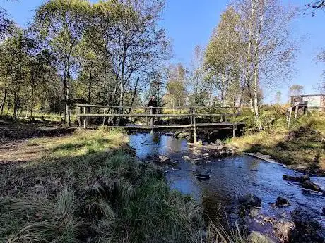 Photo de Pont Anna Marie Libert